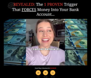 Automatic Money System use