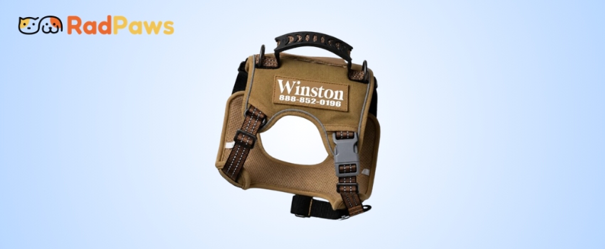 RadPaws Custom Vest Dog Vest Reviews