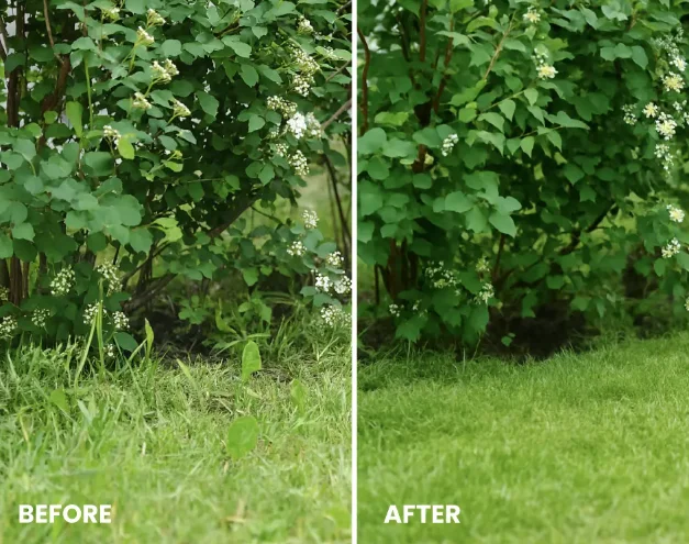 Qinux Weedlifter Before & After
