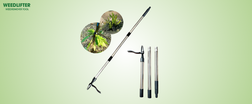 Qinux Weedlifter Reviews